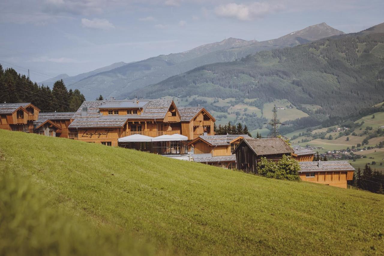 Chalet Village Zaglgut Wellness & Views With Summer Card Included คาพรูน ภายนอก รูปภาพ